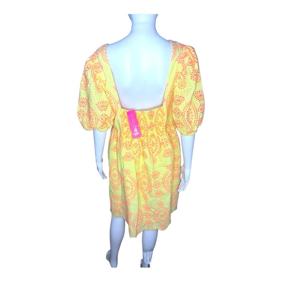 NWT Lilly Pulitzer Sarafina Short Sleeve Eyelet Gingham Yellow Dress Sz 14 - Picture 5 of 8